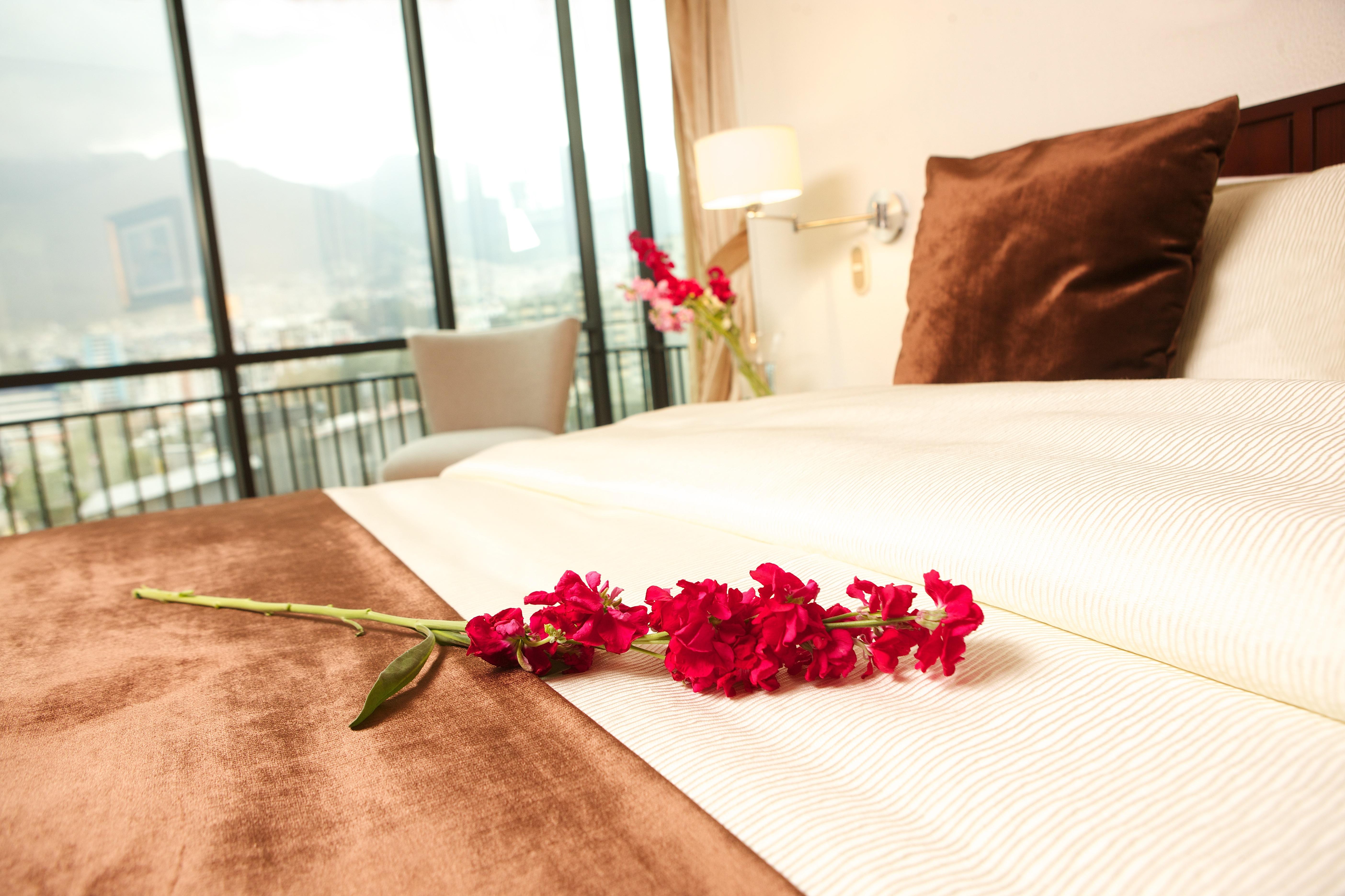 Hotel Rio Amazonas 키토 외부 사진